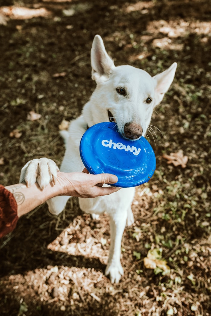 Pet Hero App